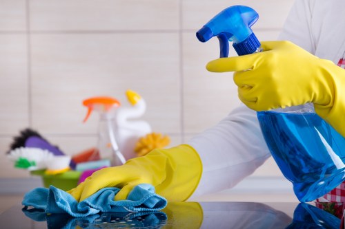 Carpet cleaning team using sustainable waste sorting practices in Wealdstone