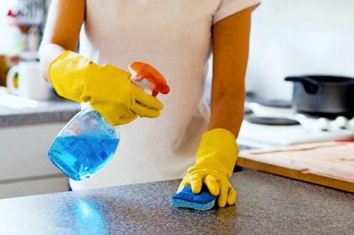 Professional steam carpet cleaning in a Wealdstone home