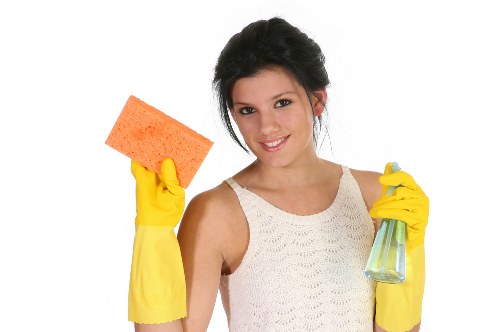 Local carpet cleaning team assessing fabric care needs in Wealdstone