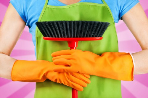 Steam cleaning a mattress in Wealdstone home