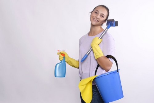 Transparent pricing sheet for Wealdstone carpet cleaners