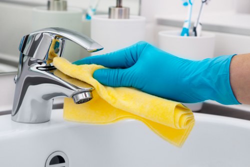 Professional stain removal for upholstery and rugs
